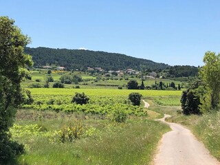 Villa Montbrun-des-Corbières Ambiente 31