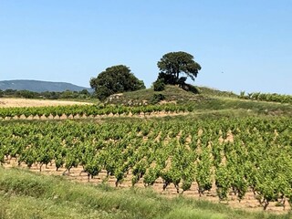 Villa Montbrun-des-Corbières Environment 34