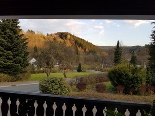 Holiday apartment Winterberg Environment 3