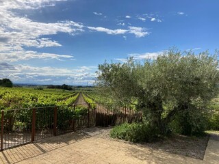 Villa Montbrun-des-Corbières Grabación al aire libre 12