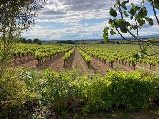 Villa Montbrun-des-Corbières Environnement 35