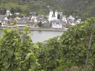 Holiday apartment Treis-Karden  16