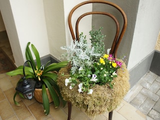 Holiday apartment Treis-Karden Environment 3