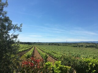 Villa Montbrun-des-Corbières Environment 34