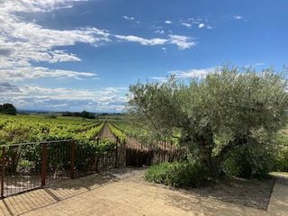 Villa Montbrun-des-Corbières Grabación al aire libre 15
