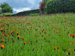 Villa Borstendorf Environment 24