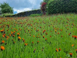 Villa Borstendorf Environnement 18
