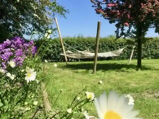 Appartamento per vacanze Grijpskerke Ambiente 15