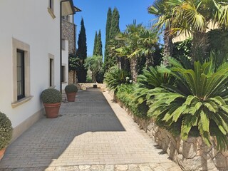 Villa Port Andratx Buitenaudio-opname 19