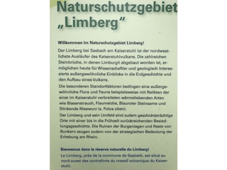 Ferienwohnung Sasbach am Kaiserstuhl Umgebung 30