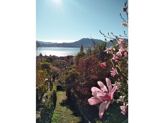 Casa per le vacanze Cannero Riviera Ambiente 28