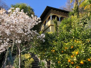Casa per le vacanze Cannero Riviera Registrazione all'aperto 2