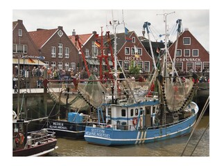 Kutterfahrten ab Neuharlingersiel
