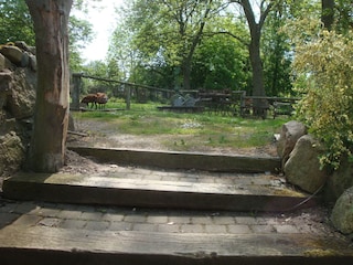 Ferienwohnung Kägsdorf Umgebung 19