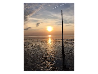 Abendstimmung im Watt