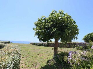 Casa per le vacanze Plouhinec Ambiente 16