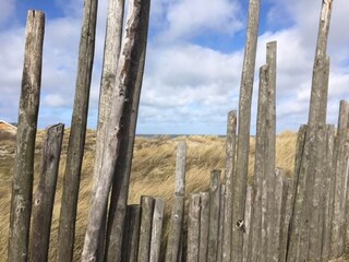 Bungalow De Cocksdorp Omgeving 10