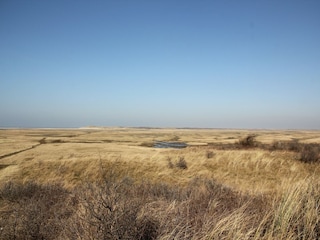 Bungalow De Cocksdorp Environnement 14