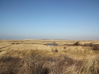 Bungalow De Cocksdorp Umgebung 13