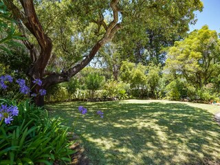 Villa Olhos de Agua Grabación al aire libre 9