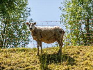 Casa per le vacanze Kortgene  31