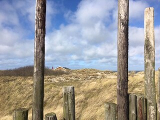 Appartement De Cocksdorp Environnement 21