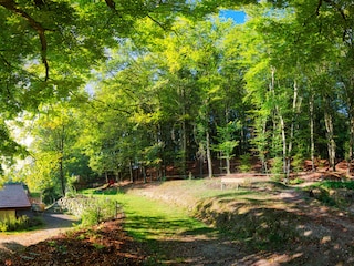 Blick zur Terrasse und zum Waldspielplatz