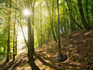 Impression Waldspielplatz