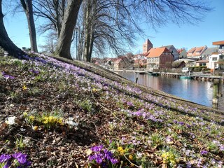 Frühling in Plau am See