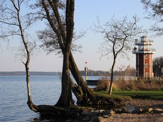 Hier können Sie ins Wasser springen