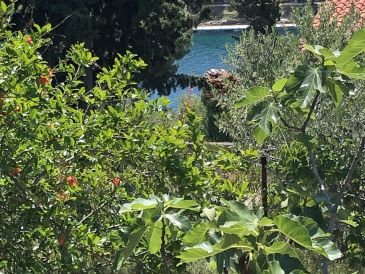 Holiday house Dulcic