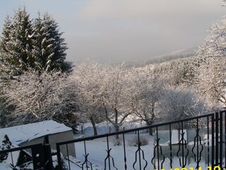 Ferienhaus Blick auf Garten
