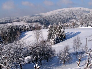 Holiday house Klingenthal Environment 16