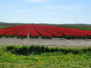 Casa per le vacanze De Cocksdorp Ambiente 29