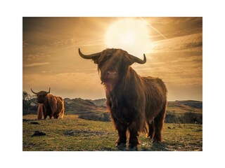 Casa per le vacanze Groet Ambiente 21