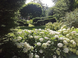 Blick über den Garten