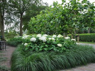 Casa per le vacanze Groet Registrazione all'aperto 4