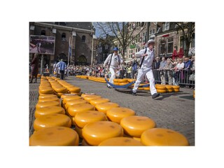 Käsemarkt Alkmaar