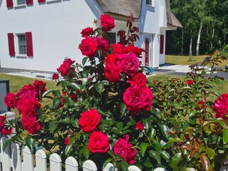 Casa per le vacanze Bodstedt Registrazione all'aperto 3