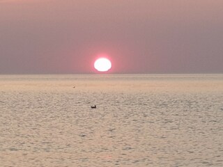 Maison de vacances Bodstedt Environnement 39