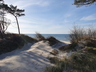 aus dem Wald ans Meer