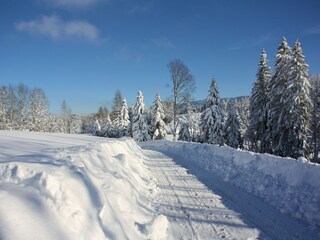 Walk on the path