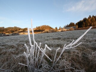 Winter impressions