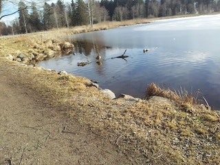 Bad Bayersoier See