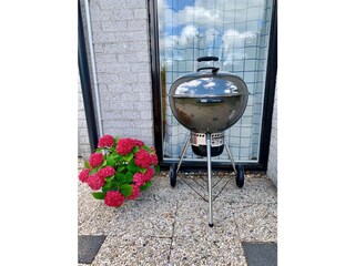 Vakantiehuis Julianadorp Buitenaudio-opname 6