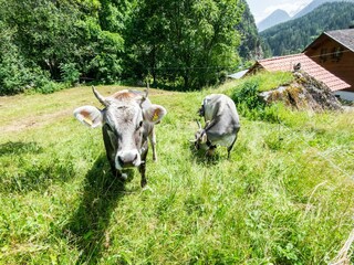 Casa per le vacanze Oetz Ambiente 31