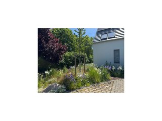 Gartenblick