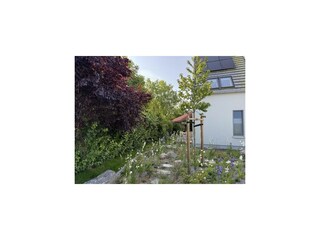 Gartenblick