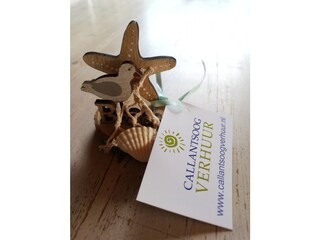 Casa per le vacanze Callantsoog Documento 23