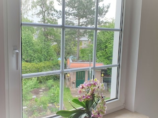 Blick aus dem Schlafzimmer 1